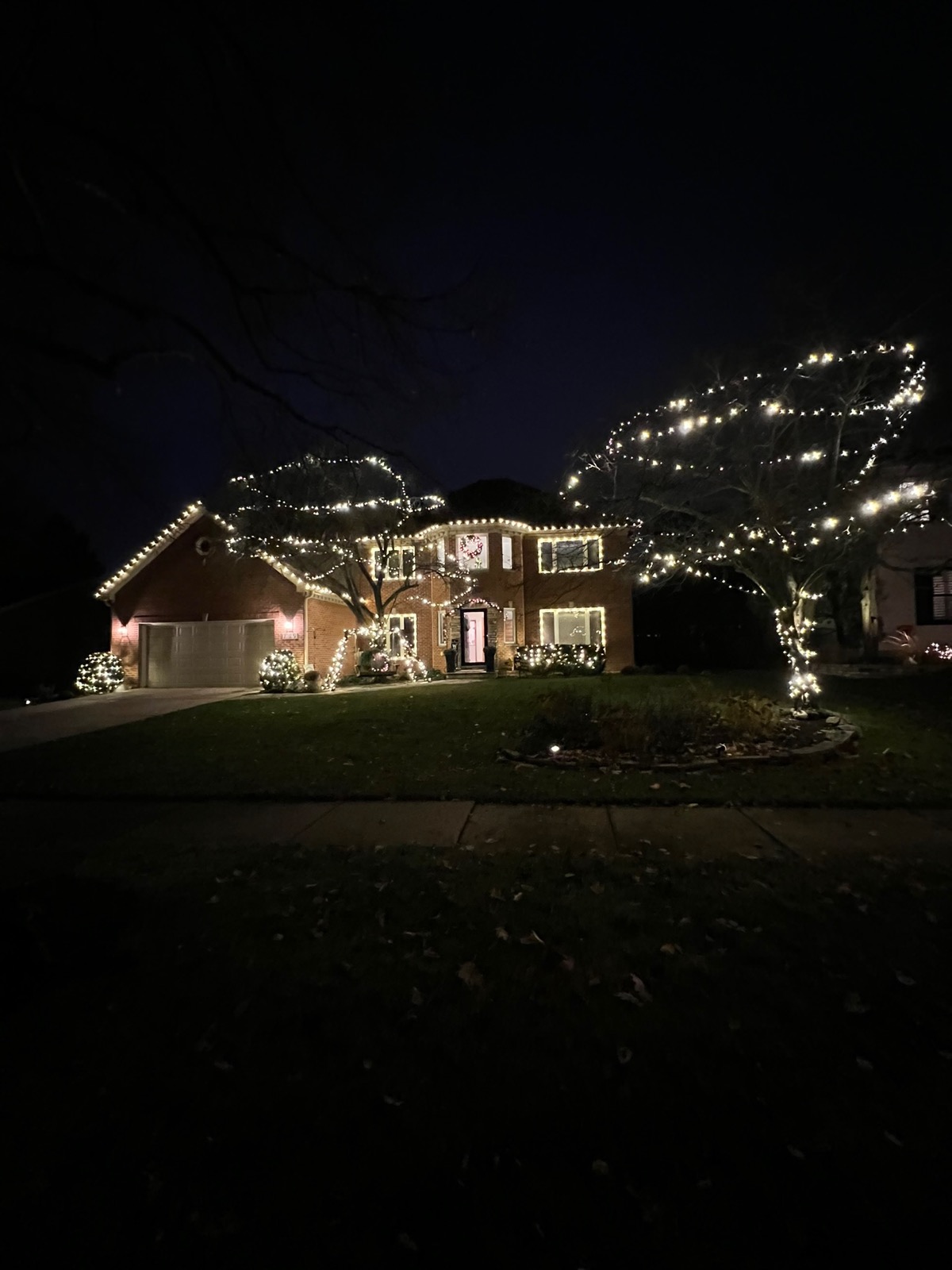 Residential Christmas lights