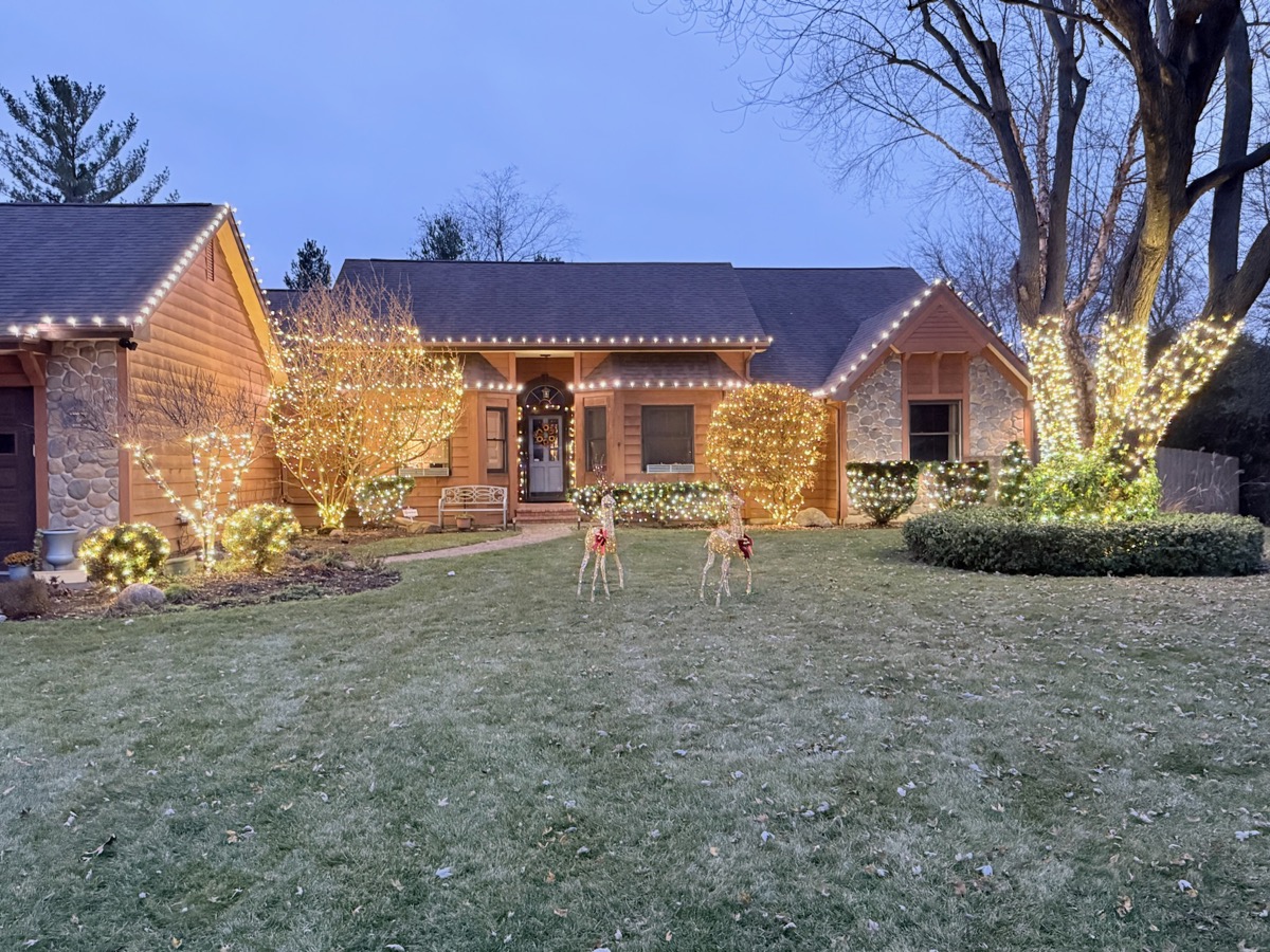 Residential outdoor holiday lights